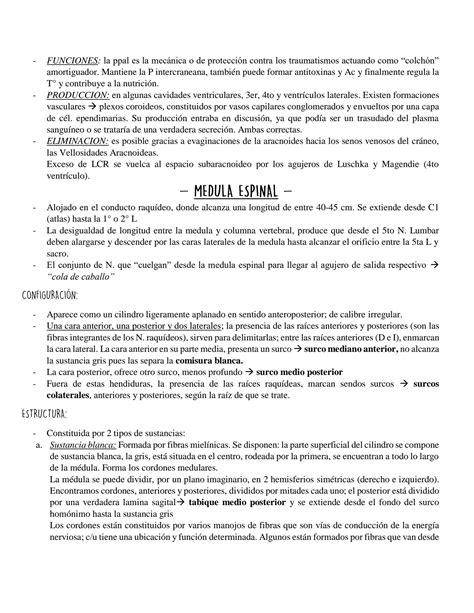 Solution Neuroanatomia Anatomía Studypool