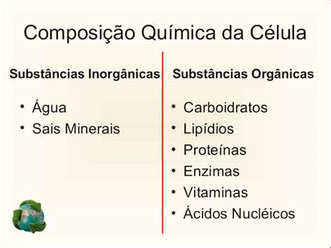 A Composi O Qu Mica Da C Lula Planeta Biologia