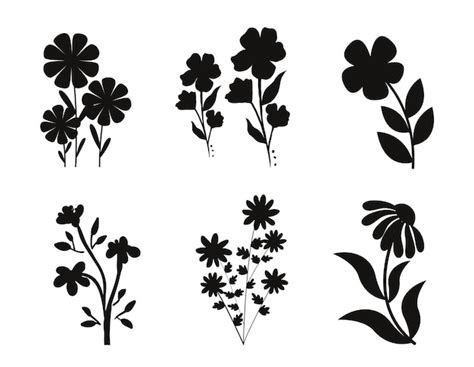 Colecciones De Flores Silueta Vectorial Aislada Vector Premium