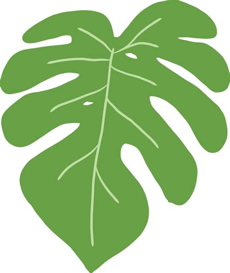 Simplicity Monstera Leaf Freehand Drawing Flat Design Png