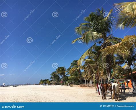 Coche Island Of Venezuela Summer Time On Tropical Stock Image Image