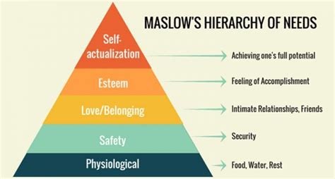 Maslows Need Hierarchy Theory Ba Theories Business Administration And Management