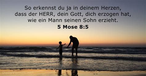 1 November 2022 Bibelvers Des Tages 5 Mose 8 5 DailyVerses Net