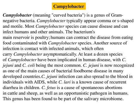 Enterobacteriaceae Online Presentation