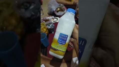 Minum Susu Onta Ori Langsung Detang Dari Arab Saudi Shorts YouTube