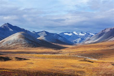 The Tundra Biome And Ice Biome Geodiode