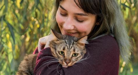 Une Belle Fille Enceinte Chasse Le Chat De Sa Belle M Re Cette