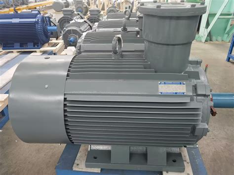 Ybx Series High Efficiency Explosion Proof Induction Motors Ip Exd