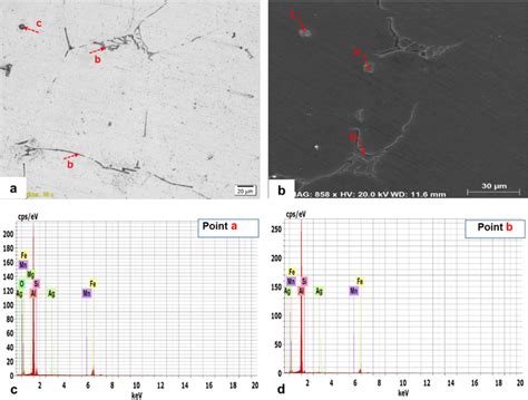 Optical And Sem Micrographs Taken From As Cast Base Aa6063 Al Mg Si