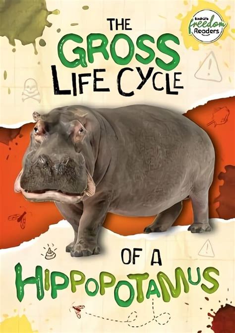 Gross Life Cycle of a Hippopotamus hind | kaup24.ee