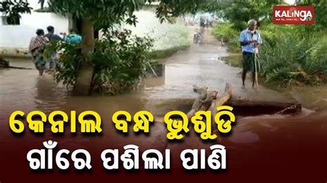 Indravati Canal Breaches In Kalahandi Due To Heavy Rainfall