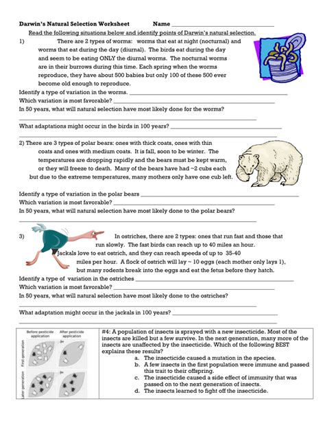 Natural Selection Worksheet