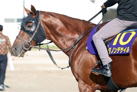 【菊花賞】ダービー馬のダノンデサイルは2枠4番 メイショウタバルは5枠10番 枠順決定 スポーツ報知