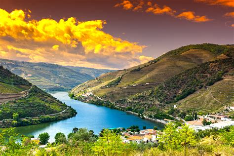 Valle Del Douro Cosa Vedere Come Arrivare E Tour Vado A Lisbona