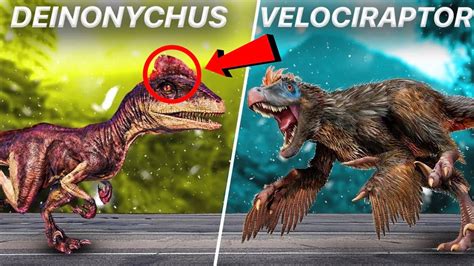 Velociraptor VS Deinonychus Comparing The Top Dinosaur Hunters YouTube