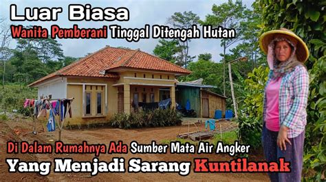 Ngeri Bangun Rumah Mewah Ditengah Hutan Siapa Sangka Didalamnya Ada