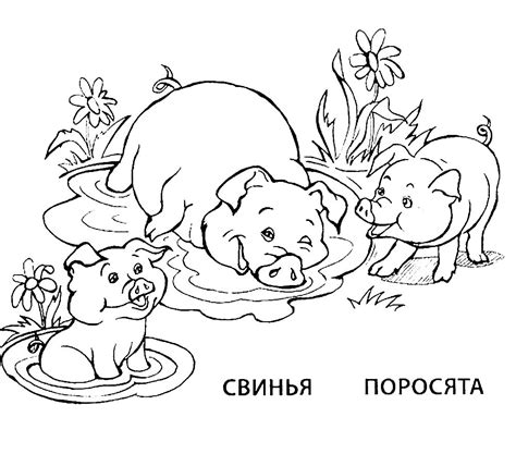 Розмальовки тваринний світ