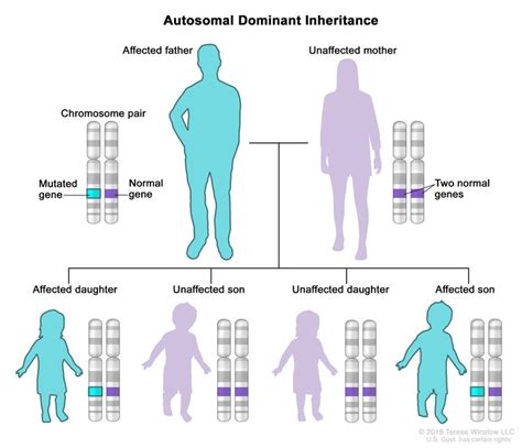 Hereditary Kidney Cancer Syndromes Nci