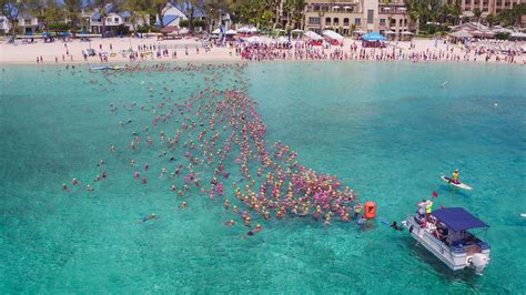 Hundreds turn out for Flowers swim - Cayman Compass