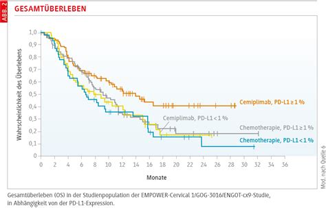 Neue Therapieoptionen Beim Zervixkarzinom