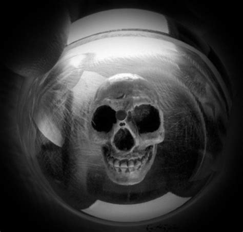 Dolly Skulls Gifs Edit Tumblr Presents Tumbler Skeletons