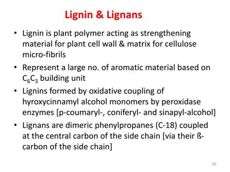 Ppt Shikimic Acid Pathway Powerpoint Presentation Id5204470