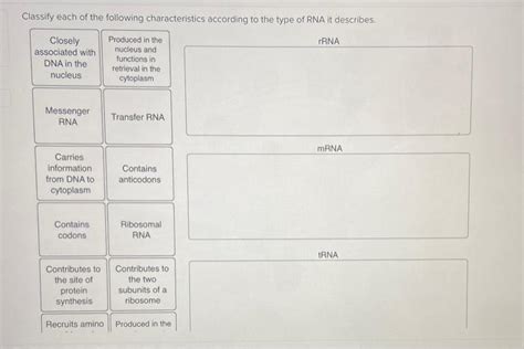 Solved Classify Each Of The Following Characteristics