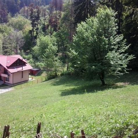 Teren La Munte De Vanzare Brasov Darste Vanzari Terenuri Ieftine