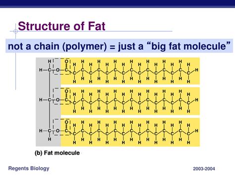 Ppt Lipids Fats And Oils Powerpoint Presentation Free Download Id