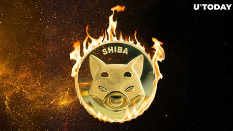 More Than 8 Million Shiba Inu Tokens Burnt as Meme Coin Takes Breather, Here Are Next Moves to Watch