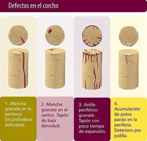 10 infografías para aprender sobre los corchos The Big Wine Theory