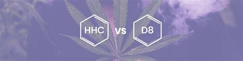 Hhc Vs Delta 8 Which One Is Right For Me