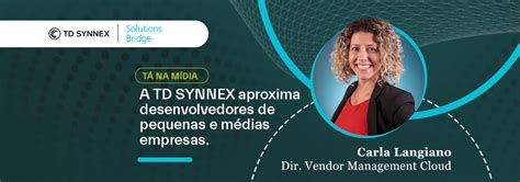 Portal Td Synnex Solutions Bridge Conecta Desenvolvedores De Software A