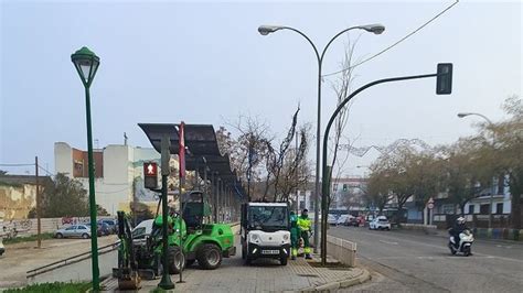 Los Vecinos Denuncian Que El Ayuntamiento Solo Ha Plantado El De