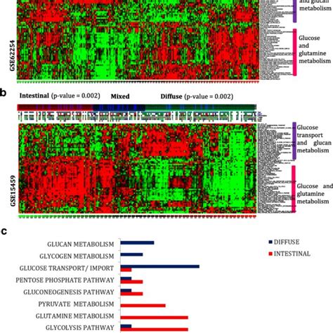 Glucose And Glutamine Metabolism Gene Sets Are Enriched In Intestinal