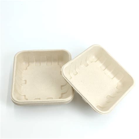 Natural Sugarcane Pulp Tray Biodegradable Tableware Bagasse Square