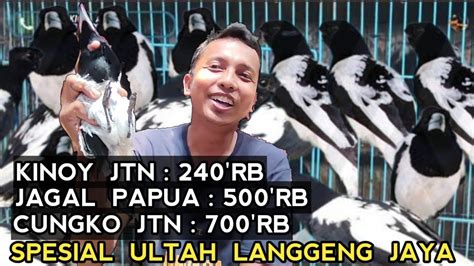 Obral Harga Burung Rawatan Mulai Dari Ribu Kios Langgeng Jaya Pasar