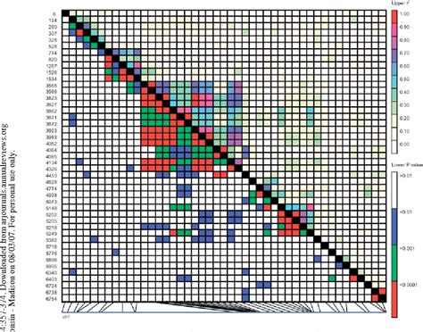 Snp Linkage Disequilibrium