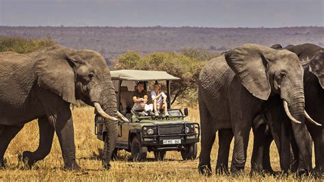 Tarangire National Park | Go Africa Vacations