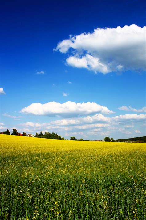 Free Images Landscape Nature Outdoor Horizon Cloud Sky Field