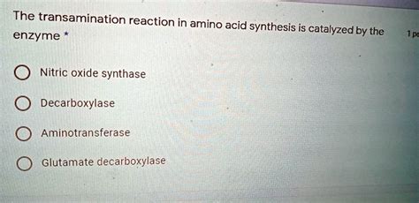 Solved The Transamination Reaction In Amino Acid Synthesis Is Enzyme