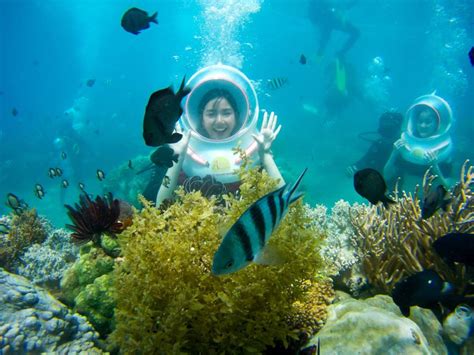 Sealife Nha Trang Khám phá những hoạt động vui chơi trên biển cực