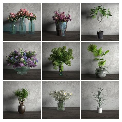 PLANTS COLLECTION FREE DOWNLOAD SKP - 3D333