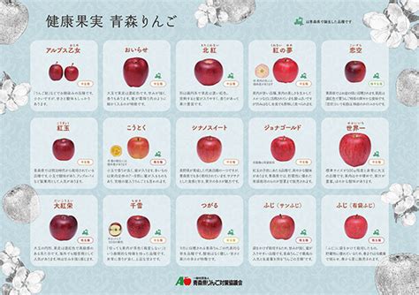 「大人の青森りんご品種下敷き」が無料でダウンロードできます！ 青森りんご公式サイト（一社）青森県りんご対策協議会