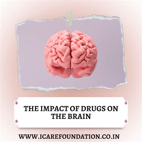 The Impact Of Drugs On The Brain