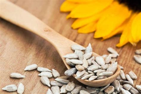 19 Benefits Of Sunflower Seeds For Better Health Skin And Hair