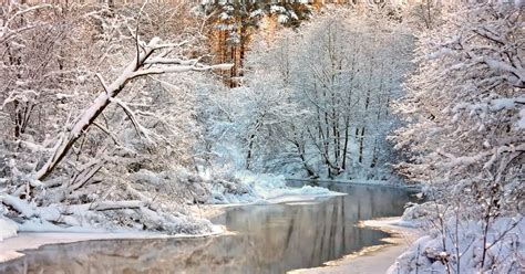 Winter Things To Do Near Greenville Nc Enc Explorer