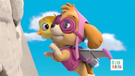 Image Paw Patrol Pups Save A Flying Kitty 29 Paw Patrol Wiki