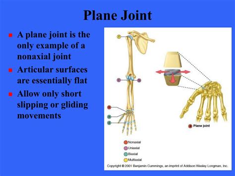 Ppt Joints Powerpoint Presentation Free Download Id176558