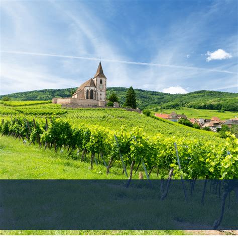 The Alsace Wine Route Site Officiel